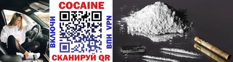 Cocaine Fish Scale  сайты даркнета телеграм  Рошаль 