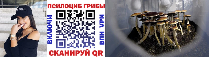 купить  цена  Рошаль  Галлюциногенные грибы ЛСД 