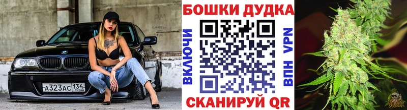 дарнет шоп  Рошаль  Бошки Шишки гибрид 